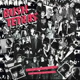 rhythm-and-paranoia-the-best-of-bush-tetras-vinyl
