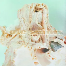 in-ribbons-vinyl