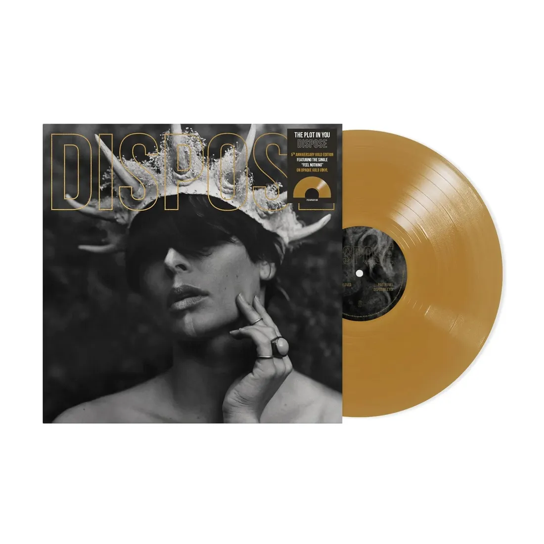 dispose-vinyl