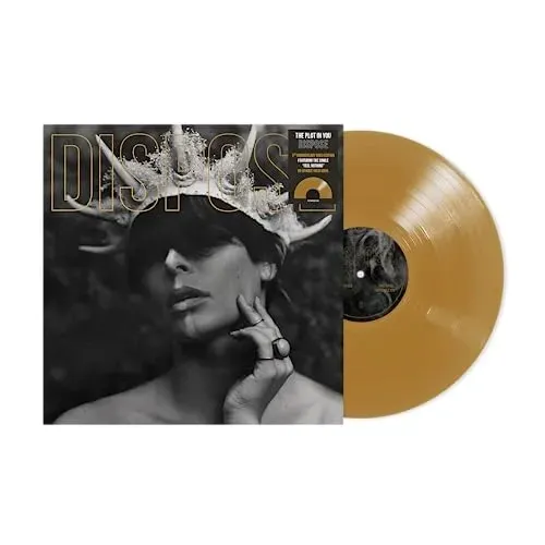 dispose-vinyl-nosnik-cd