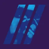 dispersion-vinyl
