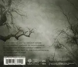 arcane-rain-fell-rozmiar-s