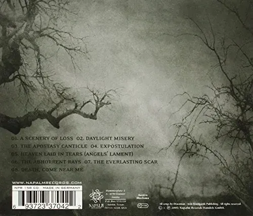 arcane-rain-fell
