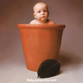 baby-james-harvest-5-disc-deluxe-box-set