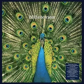 expecting-to-fly-25th-anniversary-edition-180g-blue-vinyl-vinyl