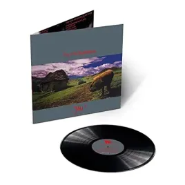 jau-vinyl
