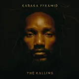 the-kalling-vinyl