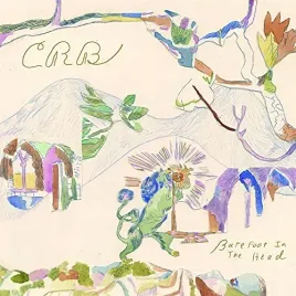 barefoot-in-the-head-2lp