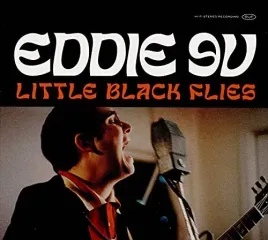 little-black-flies