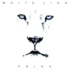 pride-180-gm-vinyl-vinyl