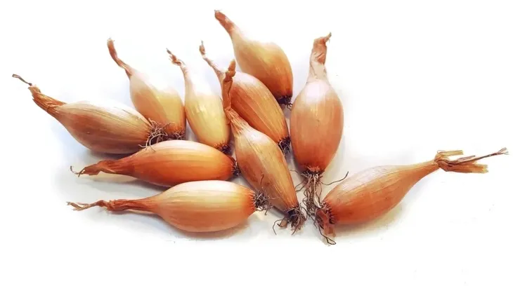 cebula-dymka-sopelek-025-kg-waga-250-g