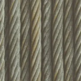 tapeta-winylowa-na-flizelinie-rasch-939903-liny