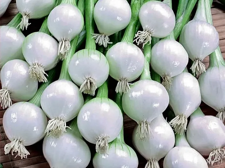 cebula-dymka-alibaba-025-kg-biala-marka-inna-odmiana-alibaba