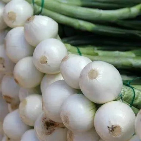 cebula-dymka-alibaba-025-kg-biala-marka-inna-waga-250-g