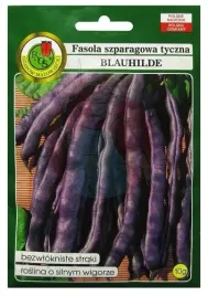 fasola-szparagowa-tyczna-blauhilde-10g