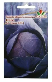 kapusta-glowiasta-czerwona-1g