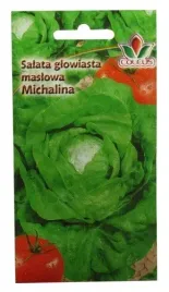 salata-glowiasta-maslowa-michalina-2g