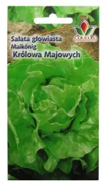 salata-glowiasta-krolowa-majowych-2g