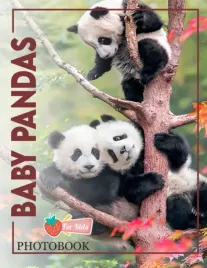 photo-book-of-baby-pandas-baby-pandas-picture-book-for-photos-with-30-pic