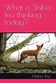 what-is-shiba-inu-thinking-today-diary-of-everyday-life-with-a-shiba-inu