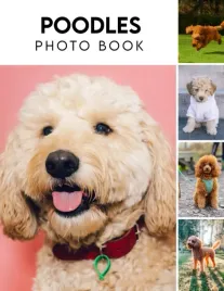 photo-book-of-poodles-poodles-picture-book-for-photos-with-30-pictures-ph