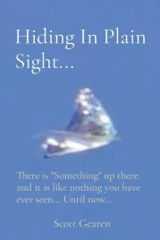 hiding-in-plain-sight-there-is-something-up-there-and-it-is-like-not