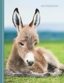 notebook-adorable-baby-donkey-photo-cover-design-college-ruled-8-5x11-le