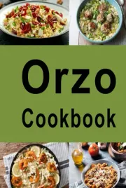 orzo-cookbook-pasta-recipes