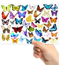 tatuaze-zmywalne-wodne-dla-dzieci-dzieciece-motylki-wzory-super-jakosc