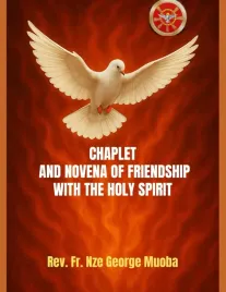 chaplet-and-novena-of-friendship-with-the-holy-spirit