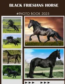 black-friesians-horse-photo-book-picture-book-of-black-friesians-horse-wit