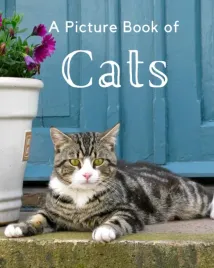 a-picture-book-of-cats-a-beautiful-picture-book-for-seniors-with-alzheimer