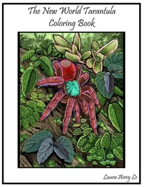 the-new-world-tarantula-coloring-book-coloring-book-for-adults-and-kids-re