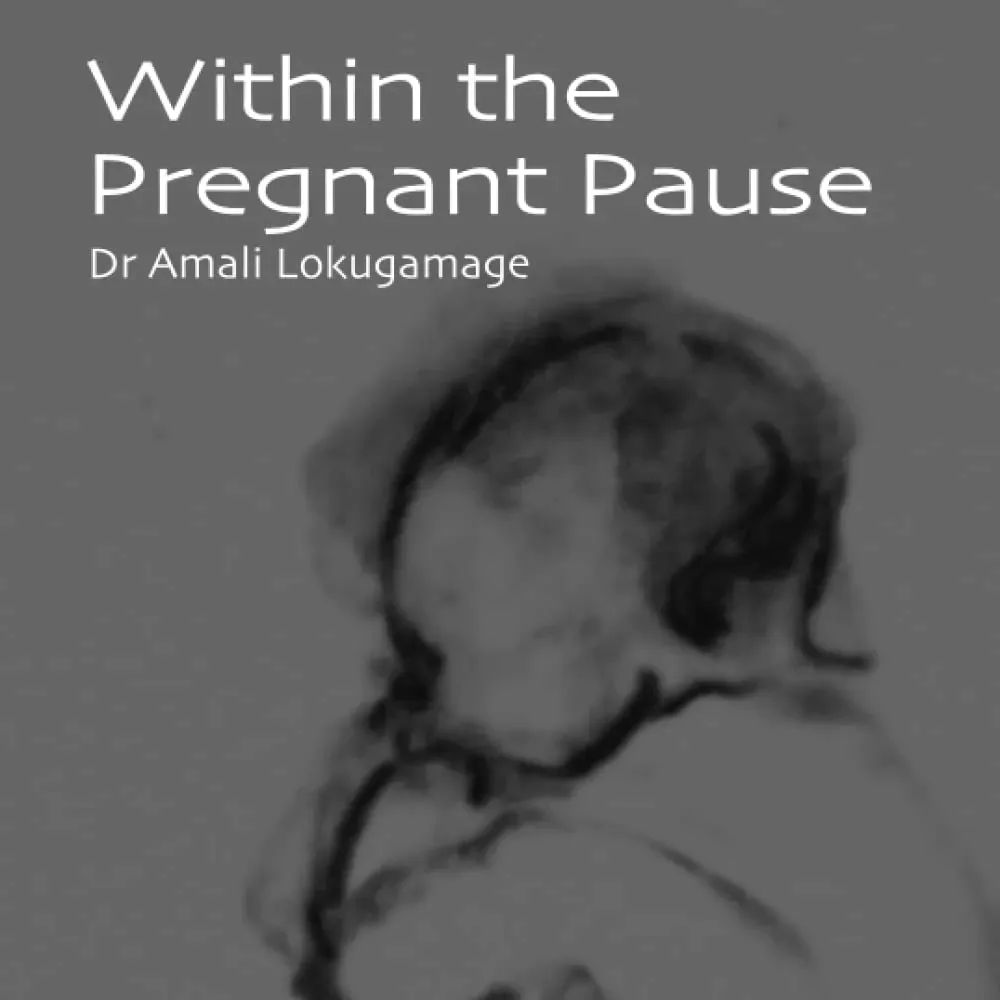 within-the-pregnant-pause-stan-nowy