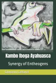 kambo-iboga-ayahuasca-synergy-of-entheogens
