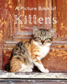 a-picture-book-of-kittens-a-beautiful-picture-book-for-seniors-with-alzhei