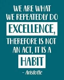 we-are-what-we-repeatedly-do-excellence-therefore-is-not-an-act-it-is-a
