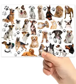 tatuaze-zmywalne-wodne-dla-dzieci-dzieciece-psy-pieski-wzory-super-jakosc