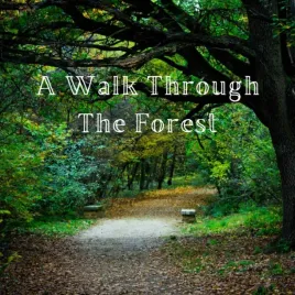 a-walk-through-the-forest-a-beautiful-nature-picture-book-for-seniors-with