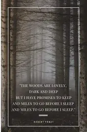 the-woods-are-lovely-dark-and-deep-robert-frost-blank-lined-notebook-and-m