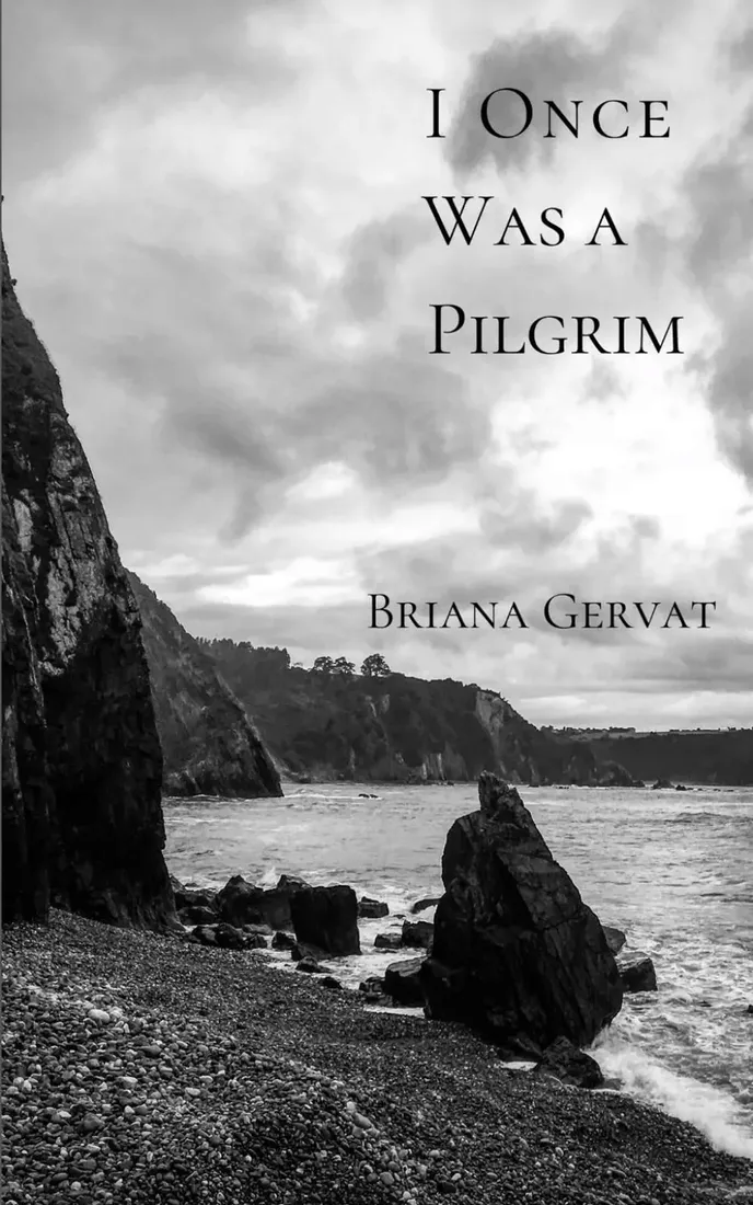 i-once-was-a-pilgrim-stan-nowy