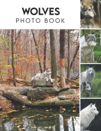 wolves-photo-book-picture-book-of-wolves-with-30-photos-pictures-2023-ph