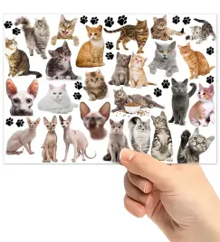 tatuaze-zmywalne-wodne-dla-dzieci-dzieciece-koty-wzory-super-jakosc