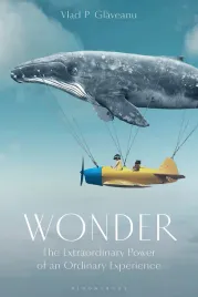 wonder-the-extraordinary-power-of-an-ordinary-experience