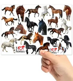 tatuaze-zmywalne-wodne-dla-dzieci-dzieciece-konie-wzory-super-jakosc