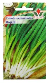 cebula-siedmiolatka-bajkal-2g