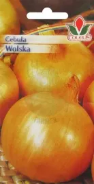 cebula-wolska-5g