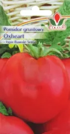 pomidor-gruntowy-oxheart-typu-bawole-serce-03-g