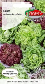nasiona-salata-mieszanka-odmian-1g-torseed