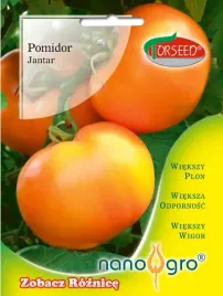 nasiona-pomidor-wysoki-pod-oslony-i-do-gruntu-jantar-nano-torseed